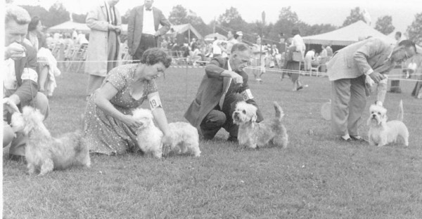 Dandies Show 1955