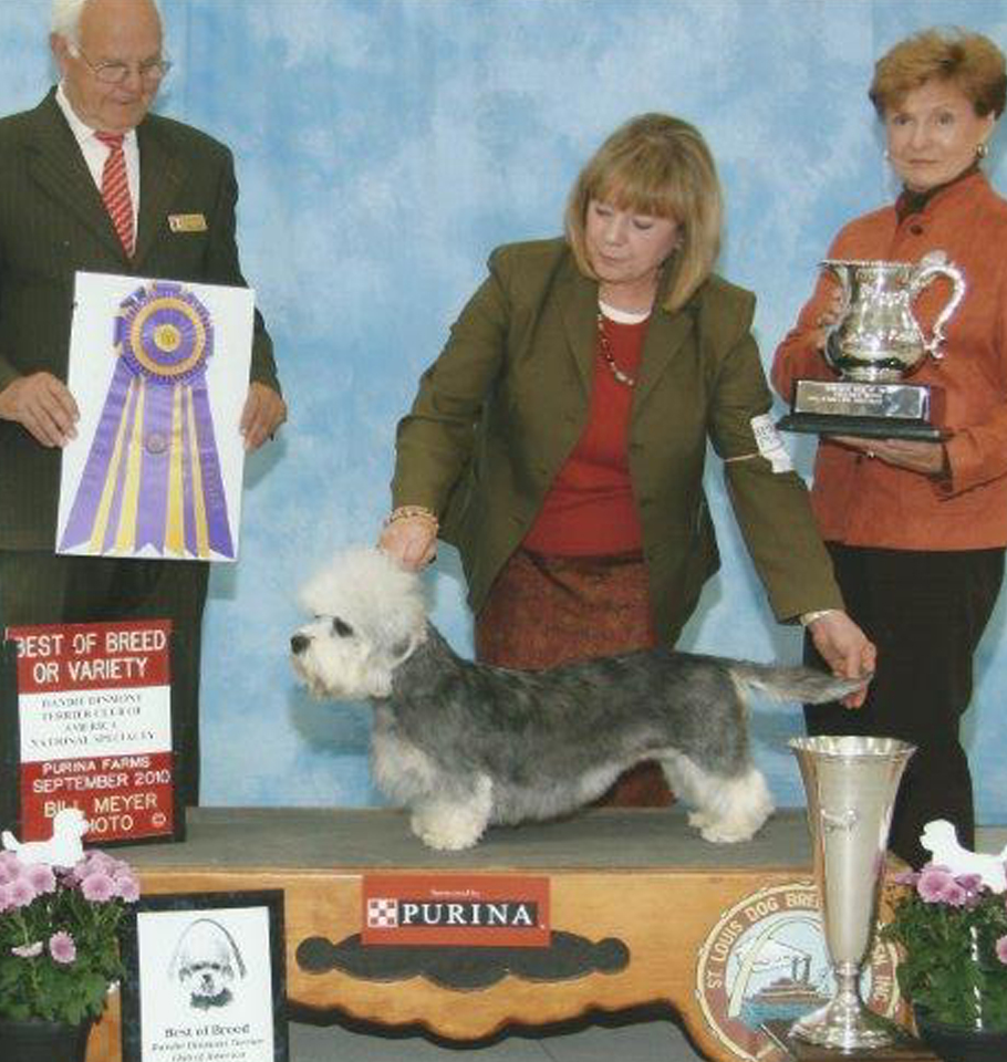 2010 DDTCA National Specialty Best of Breed<br> <b>GCH Pastime Eloise At The Plaza</b><br>Owned and Bred By: Phil and Karen Cramer