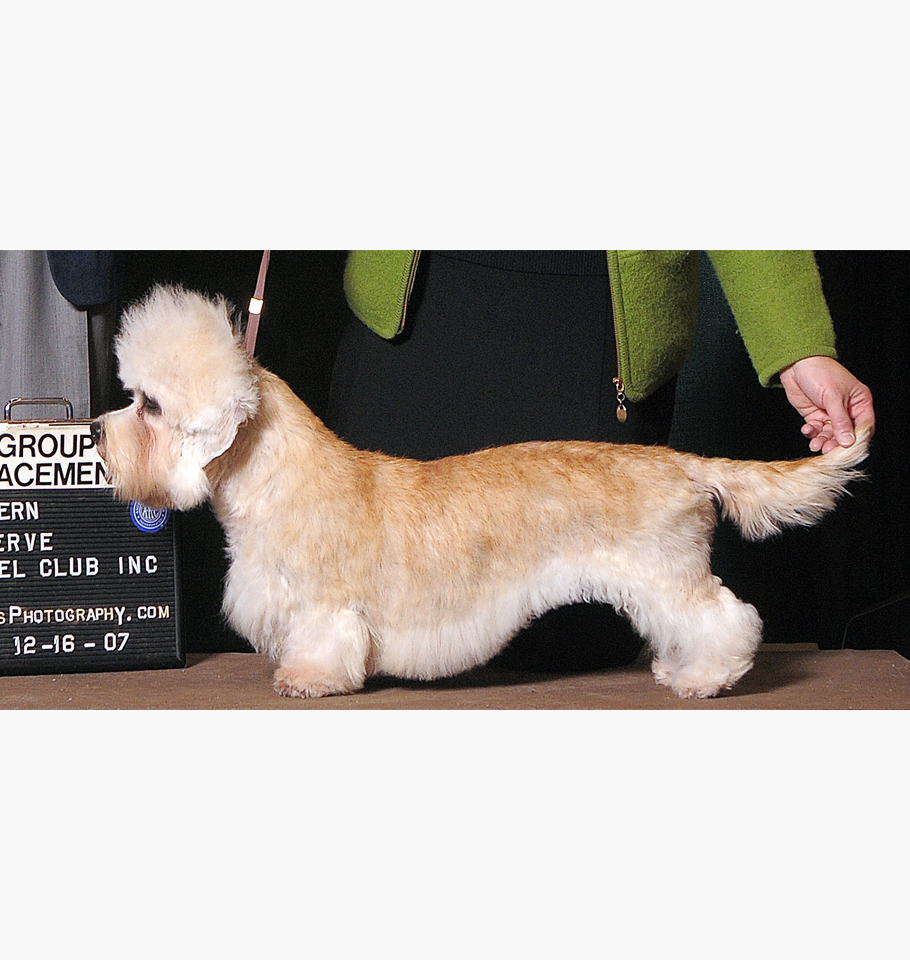 2007 DDTCA National Specialty Best of Breed 